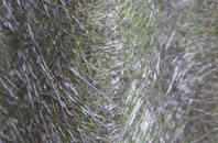 Kidbrooke fibreglass roof work